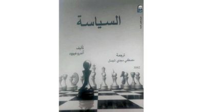 صورة “السياسة”…  من النزعة النسوية والقومية إلى الحركات الاجتماعية الجديدة