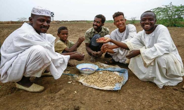 صورة السودان: استئناف تصدير الفول السوداني بعد تعليق 8 شهور