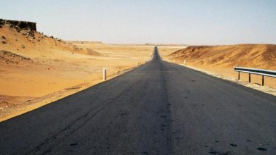 صورة الطريق الرابط بين الجزائر ولاغوس “قد دخل مرحلته الأخيرة من الإنجاز”