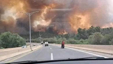 صورة 36 قتيلا و174 جريحا في حرائق الطارف