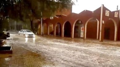 صورة أمطار رعدية مرتقبة على ست ولايات بأقصى جنوب البلاد