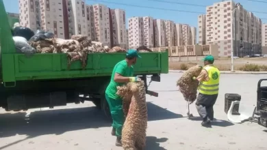 صورة الدكتورة هدى جعفري: نرتقب جمع قرابة 3 ملايين من جلود أضاحي العيد خلال سنة 2024