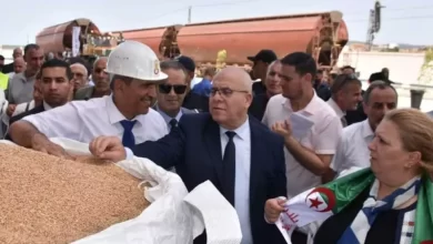 صورة شرفة: نحو استحداث مؤسسات زراعية مصغرة في عدة مناطق