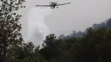 صورة باتنة..إخماد كلي لحريق جبل فاخرة بمروانة