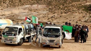 صورة تنظيم حملة تطوعية للتشجير تحت شعار “معا لغرس شجرة زيتون من قدس فلسطين إلى أوراس الجزائر”