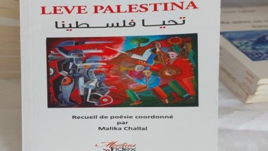 صورة “تحيا فلسطينا”: كتاب جديد للتضامن مع الشعب الفلسطيني