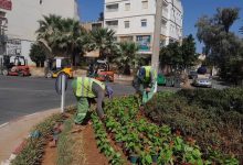 صورة ولاية الجزائر.. انجاز مساحات خضراء على مساحة 40 هكتار ببلدية العاشور 