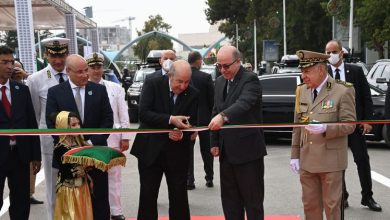 صورة تبون يدعو الايطاليين إلى الاستفادة من تحفيزات الاستثمار في الجزائر