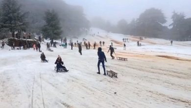 صورة البليدة: توافد كبير للعائلات على مرتفعات الشريعة للتمتع بمناظر الثلوج