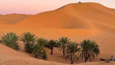 صورة باتنة.. إدراج 4 مواقع أثرية للفن الصخري ضمن قائمة الجرد الإضافي للممتلكات الثقافية