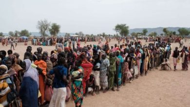 صورة برنامج الأغذية العالمي يكشف:شاحنات إمدادات غذائية عبرت من تشاد للسودان