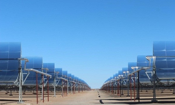 Photo de L’Algérie intéressée par la coopération avec le consortium DII Desert Energy