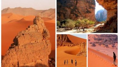 Photo de Lors d’une réunion tenue lundi à Djanet : Présentation de la première phase de l’étude portant classement et délimitation des zones montagneuses du Tassili N’Ajjer   