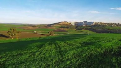 Photo de Foncier agricole : Recensement de plus de 63.000 ha à octroyer par voie de concession