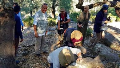 Photo de Archéologie : Découverte de deux nouveaux sites à Ouled Ghiath (El Tarf)   