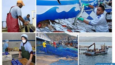 Photo de Algérie-Japon : Lancement de la deuxième phase du projet de la cogestion de la pêche artisanale