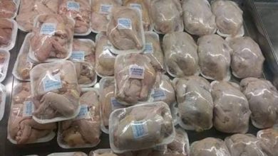 Photo de Poulet congelé : 10.000 tonnes prochainement sur les marchés