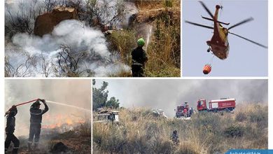 Photo de Jijel : Présentation du rapport sur le soutien technique à la gestion durable des forêts pour lutter contre les feux de forêts