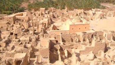 Photo de Ouargla : La valorisation du patrimoine architectural du vieux ksar et de l’antique ville de Sedrata soulignée