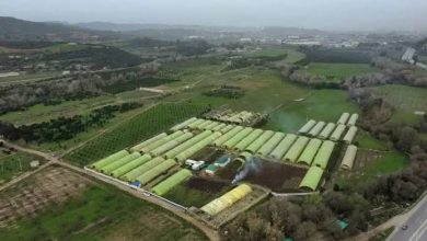 Photo de Agriculture : Le recensement général débutera le 19 mai prochain