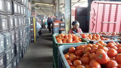 Photo de Numérisation des marchés de gros de fruits et légumes : Lancement «prochain» d’un atelier de réforme à l’échelle nationale