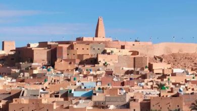 Photo de Ghardaïa : Appel à la digitalisation du patrimoine relevant du domaine national