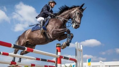 Photo de Equitation : Concours national de saut d’obstacles 2 étoiles du 18 au 20 avril à Blida