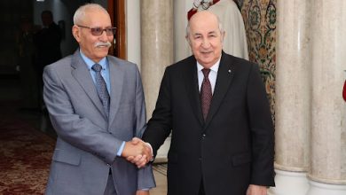 Photo de Audience présidentielle : Le président de la République reçoit son homologue sahraoui