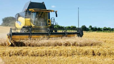 Photo de Médéa : D’importants moyens mobilisés pour la campagne moisson-battage   