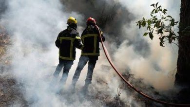 Photo de Médéa : Lancement d’une caravane de prévention contre les incendies de forêt et les feux de récolte   